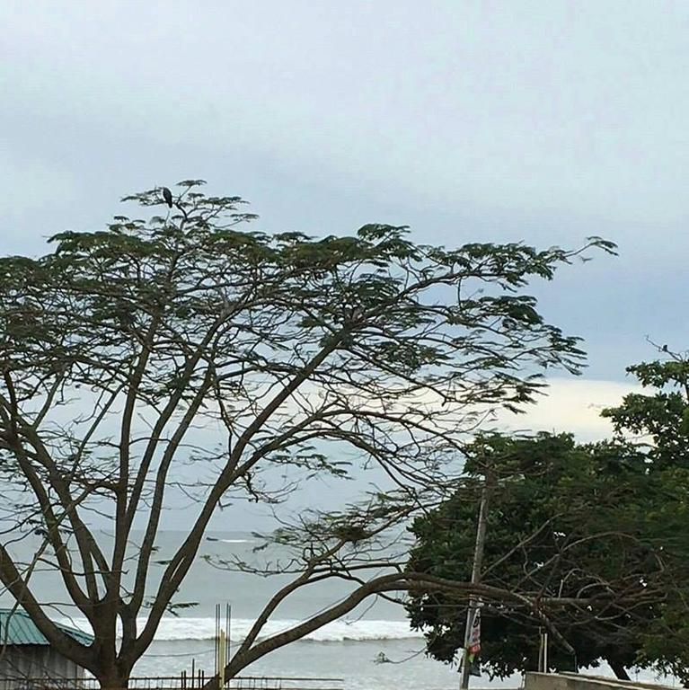 Gold Coast Resort Weligama Exterior photo